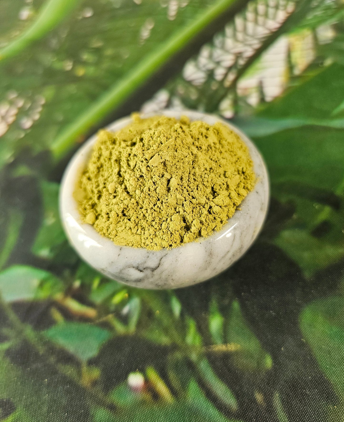 Light gold kratom in a small white marble dish displayed on a table with jungle design.
