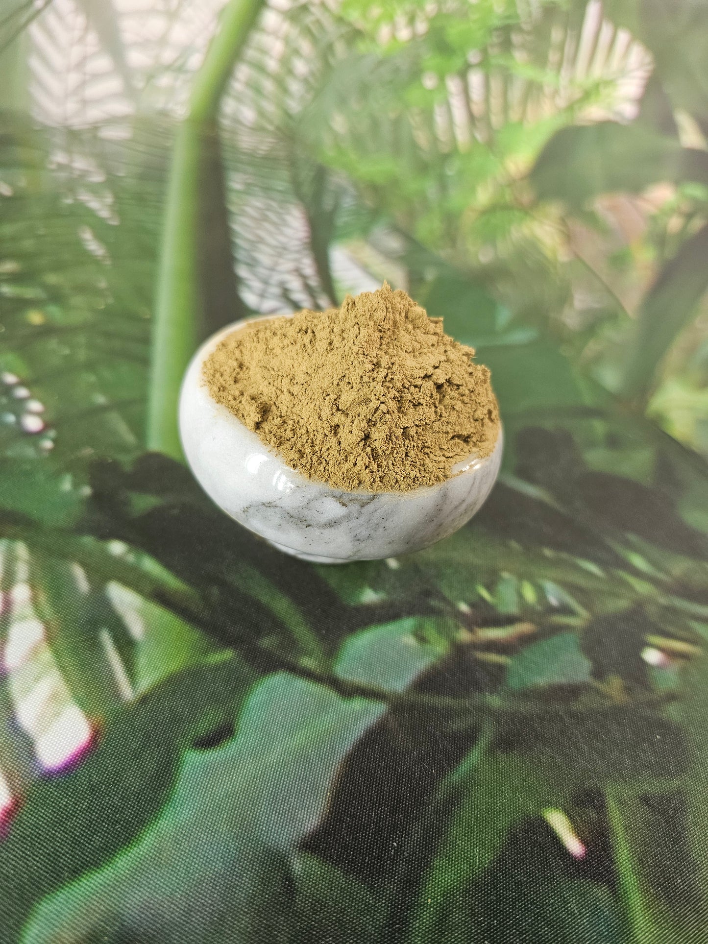 Close-up of a white container with light tan kratom powder against a green leafy background.