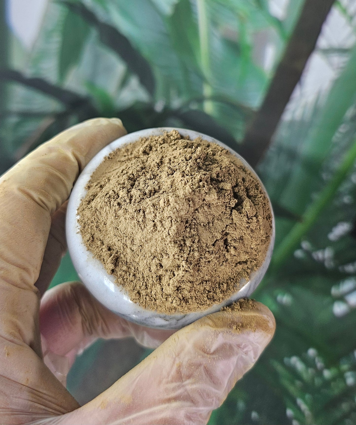 Hand holding a small container of premium kratom powder against a blurred green background.